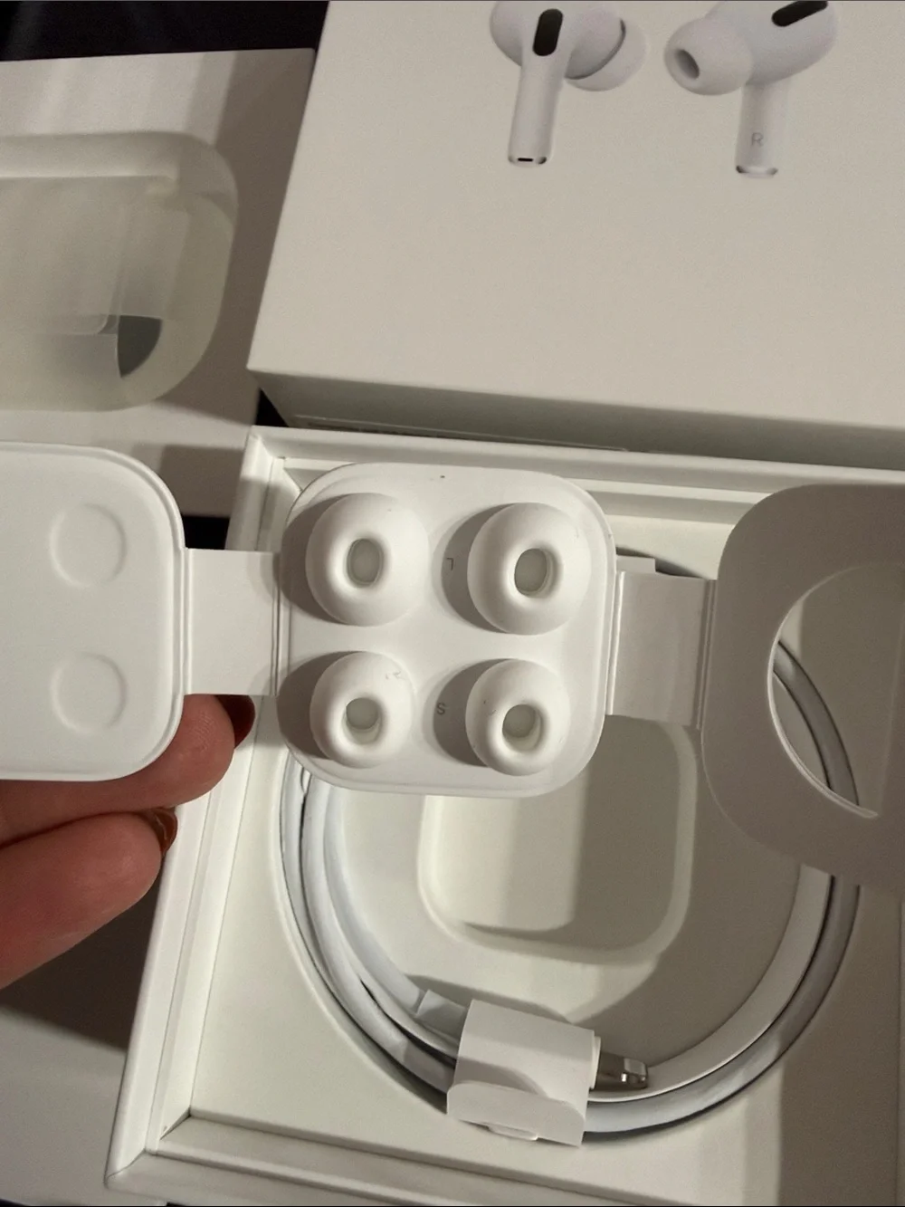 Apple 1st generation